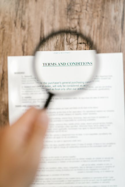 Typo-Free Resumes: The Surprising Impact of Proofreading Your Career Catalyst
